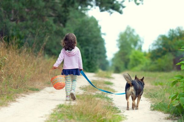 morning walk with dog