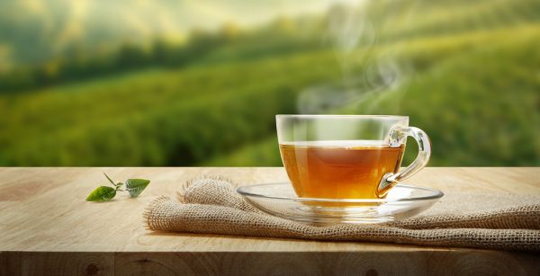 green tea for fat loss