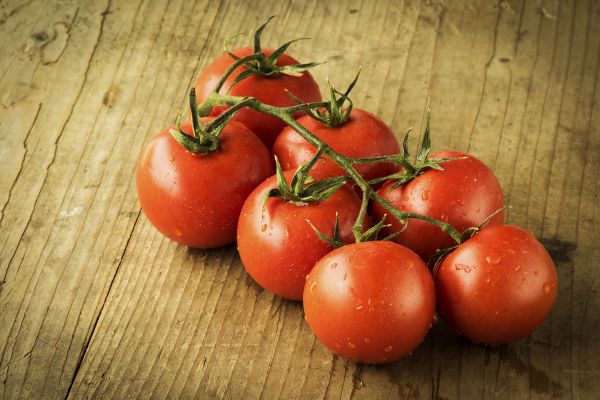 tomatoes for fat loss