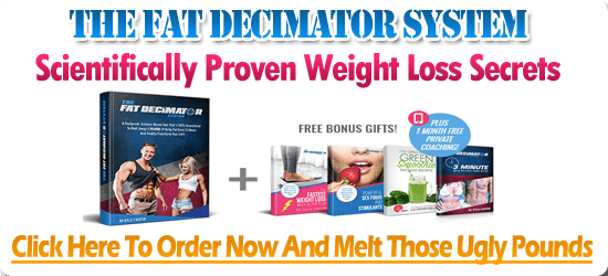 the fat decimator system